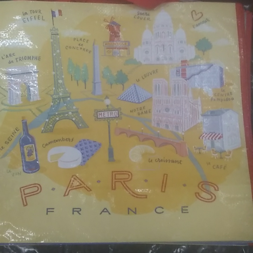 Reusable " Paris France" Themed Bag